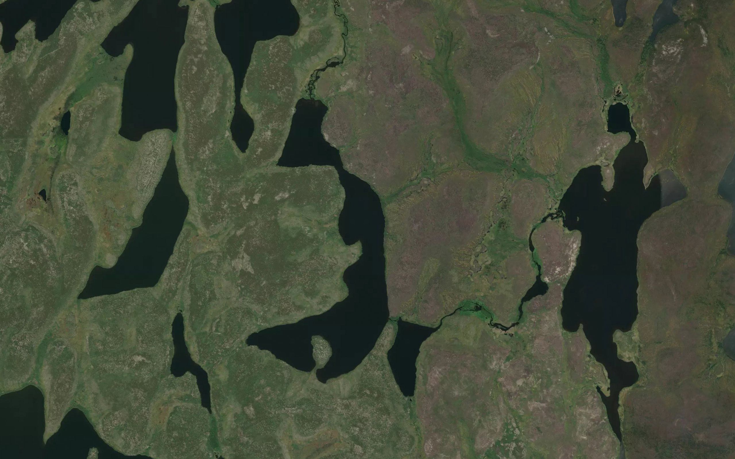 Spraggett Lake
