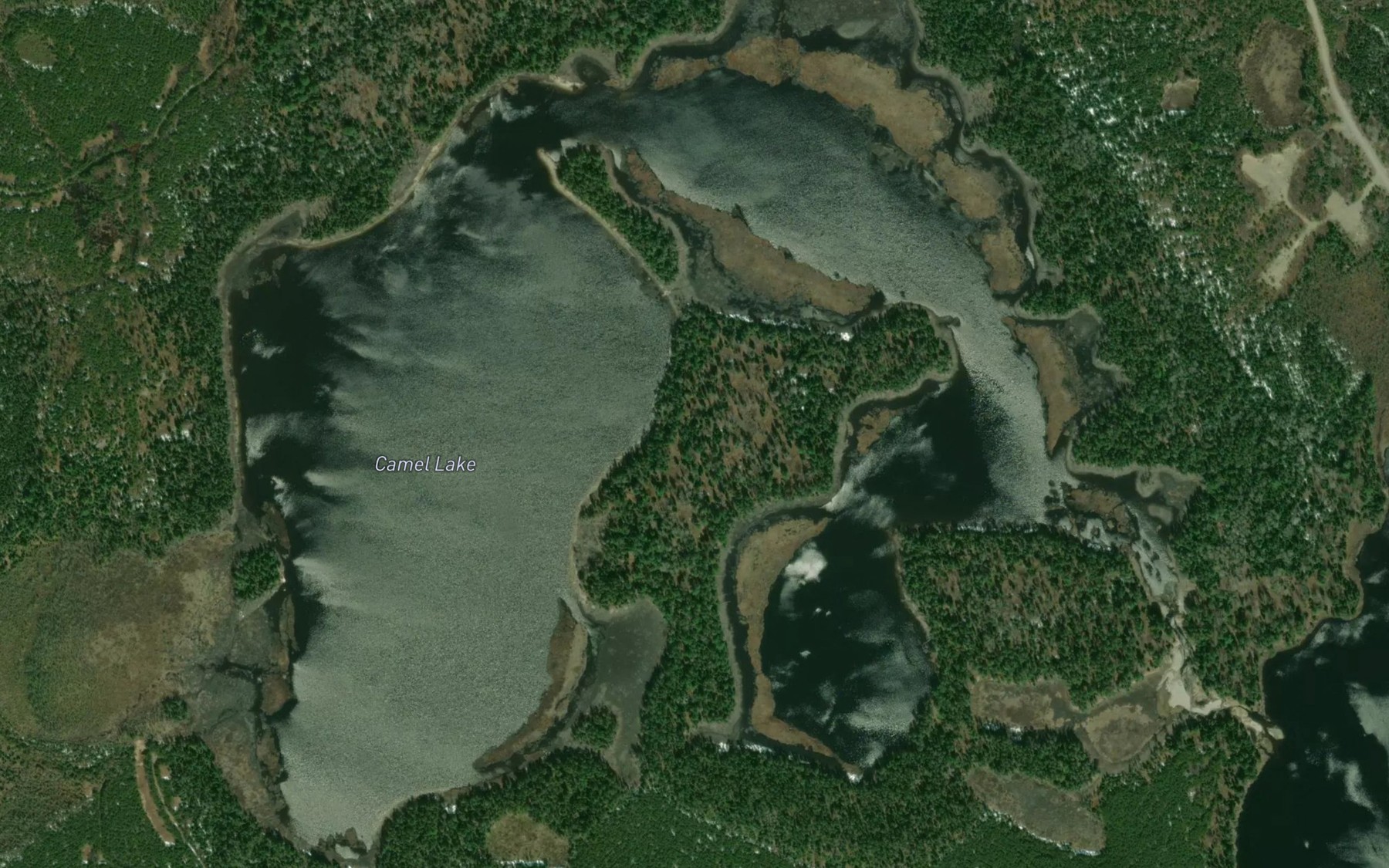 Satellite map of the Camel Lake