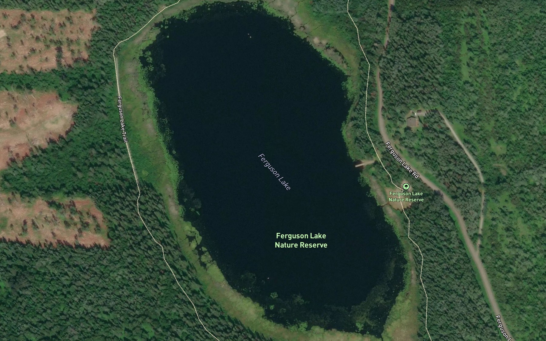 Satellite map of the Ferguson Lake
