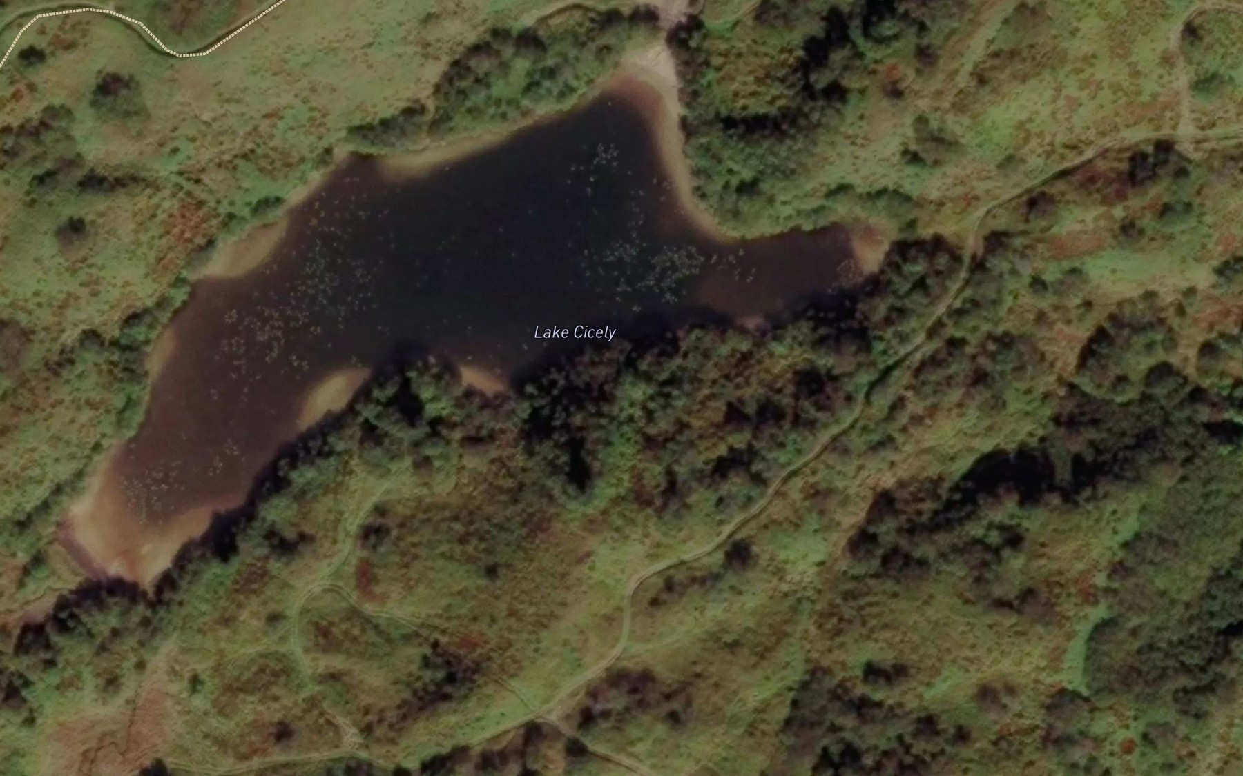 Satellite map of the Lake Cicely