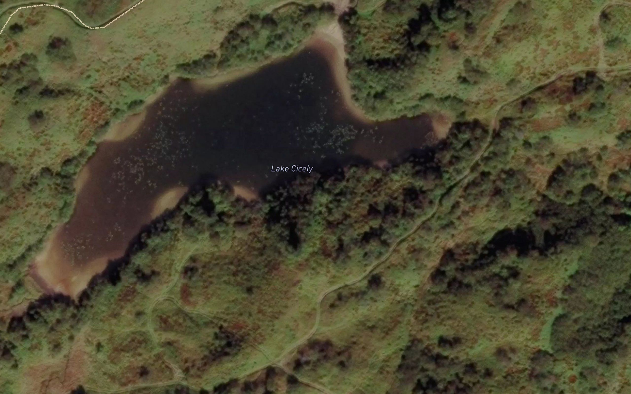 Lake Cicely