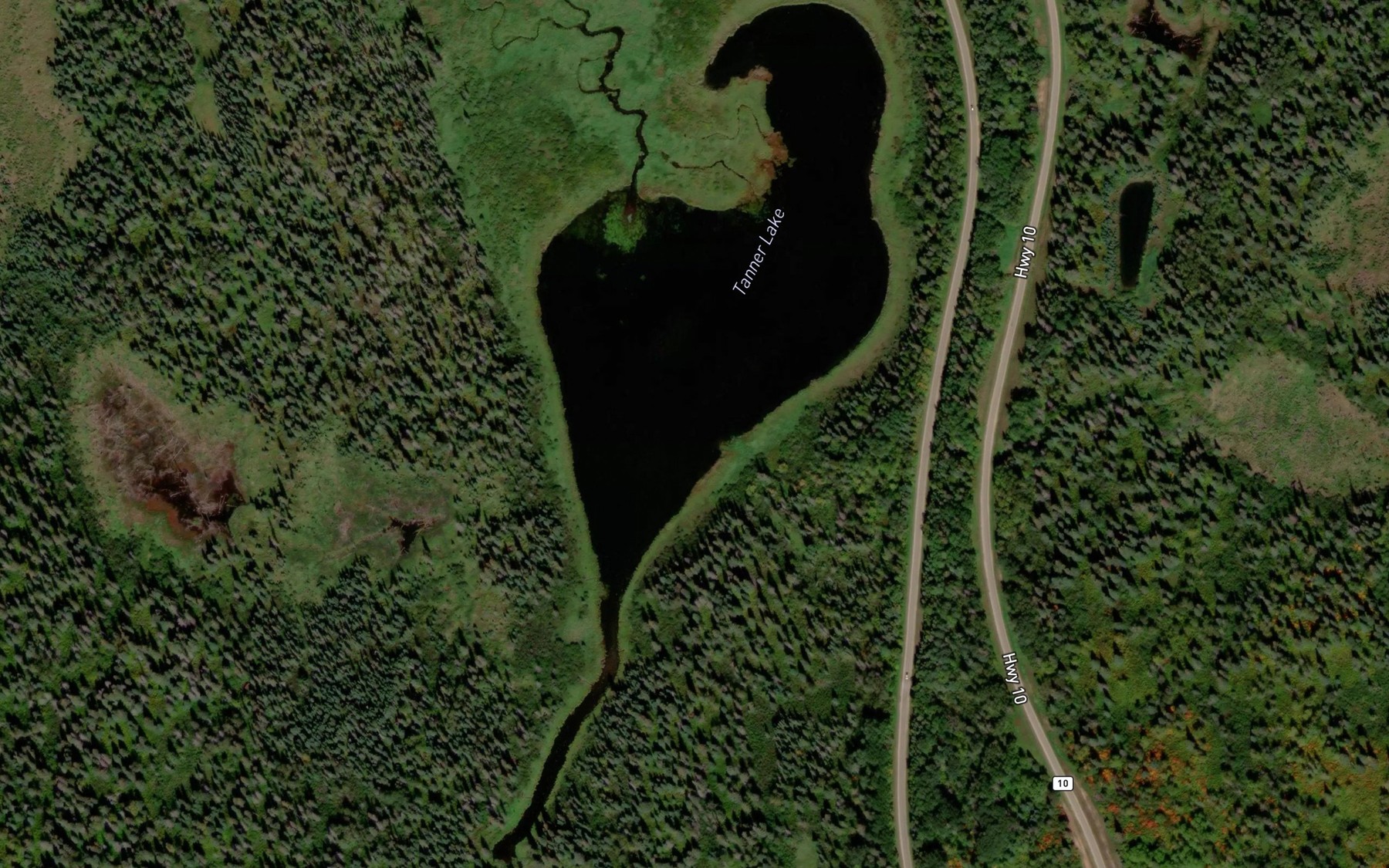 Satellite map of the Tanner Lake