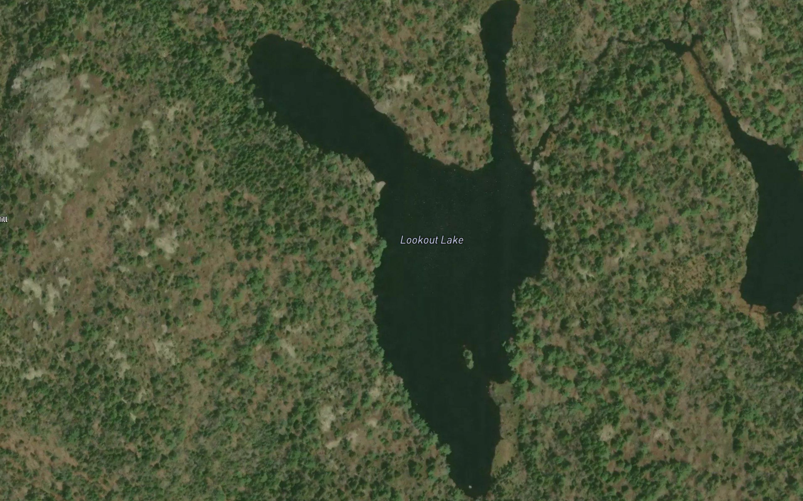 Lookout Lake