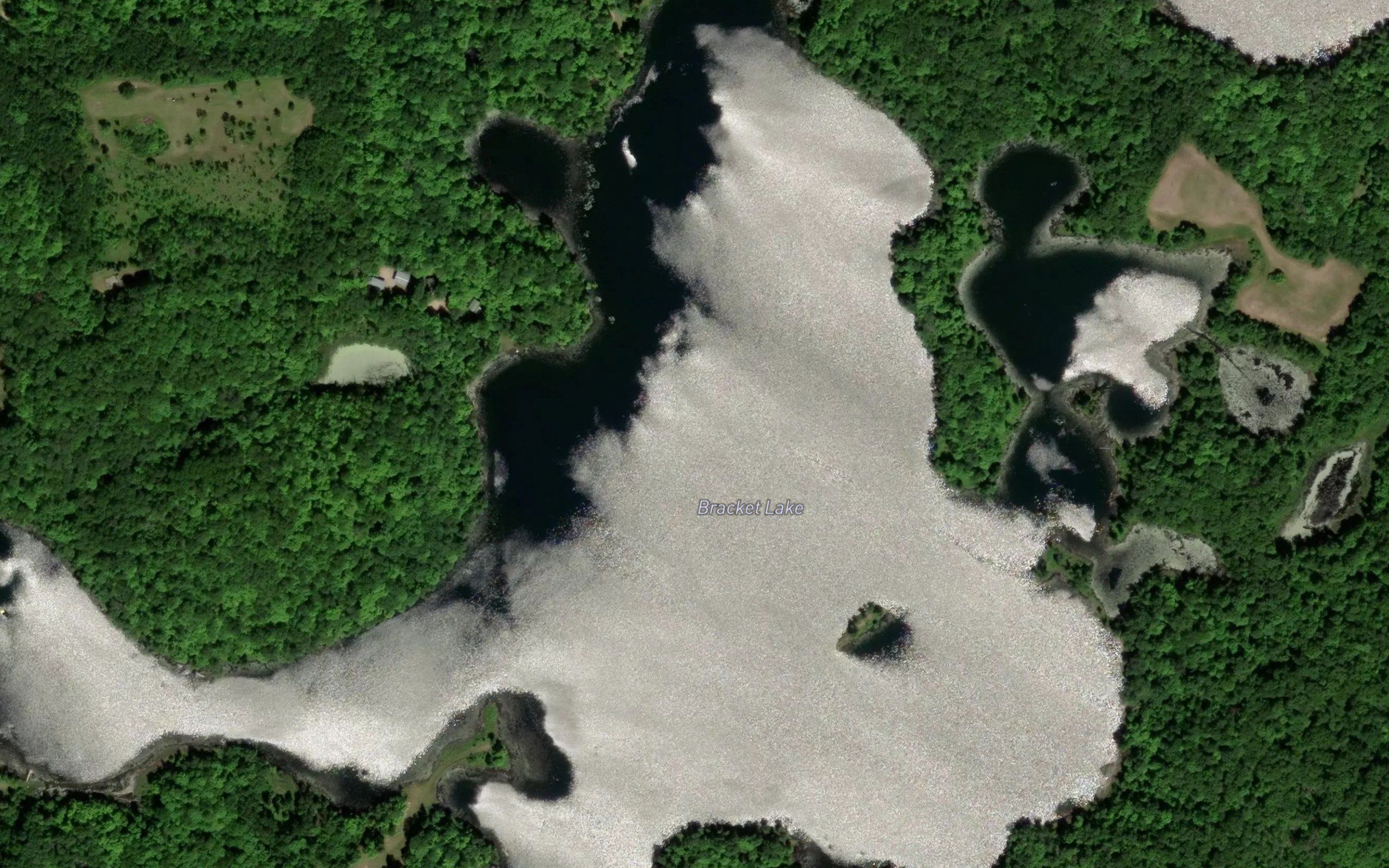Bracket Lake