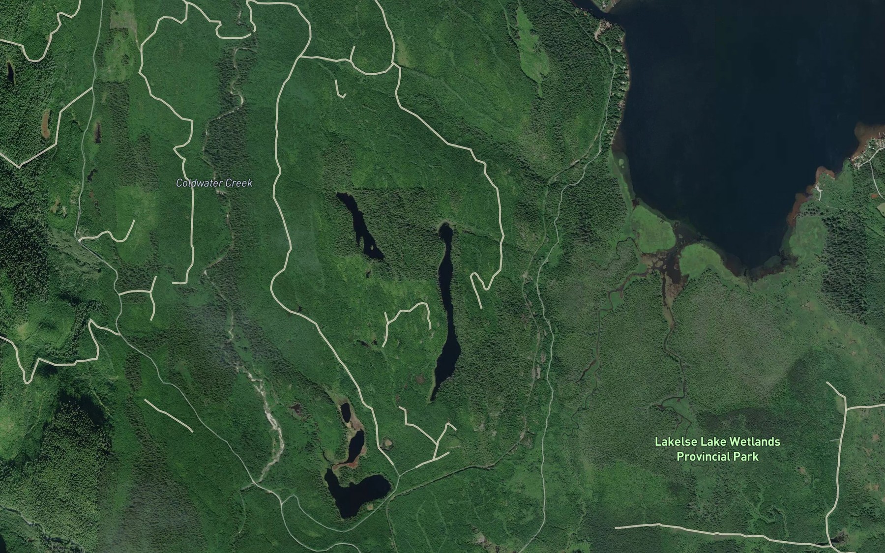 Satellite map of the Ena Lake