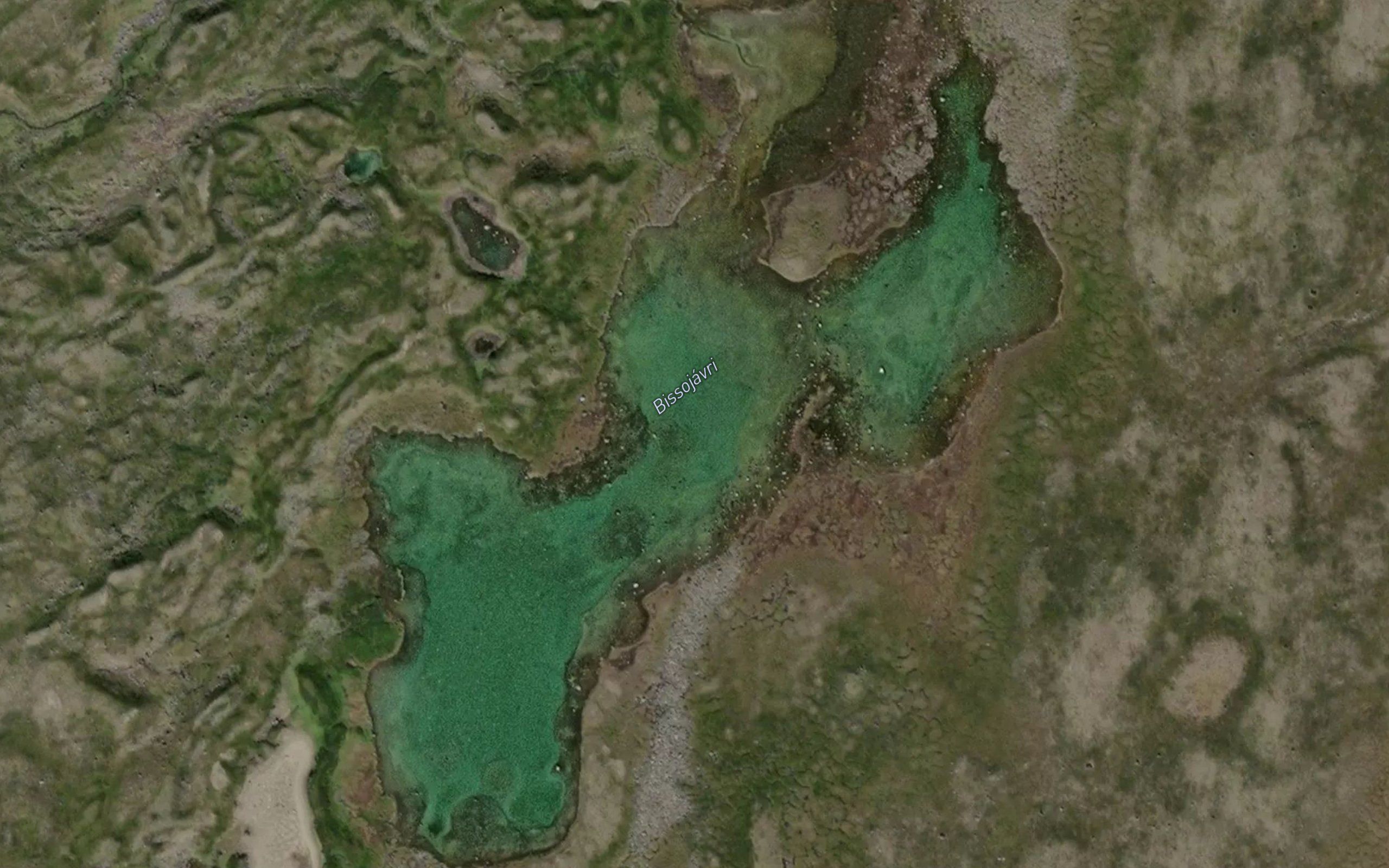 Bissujavri