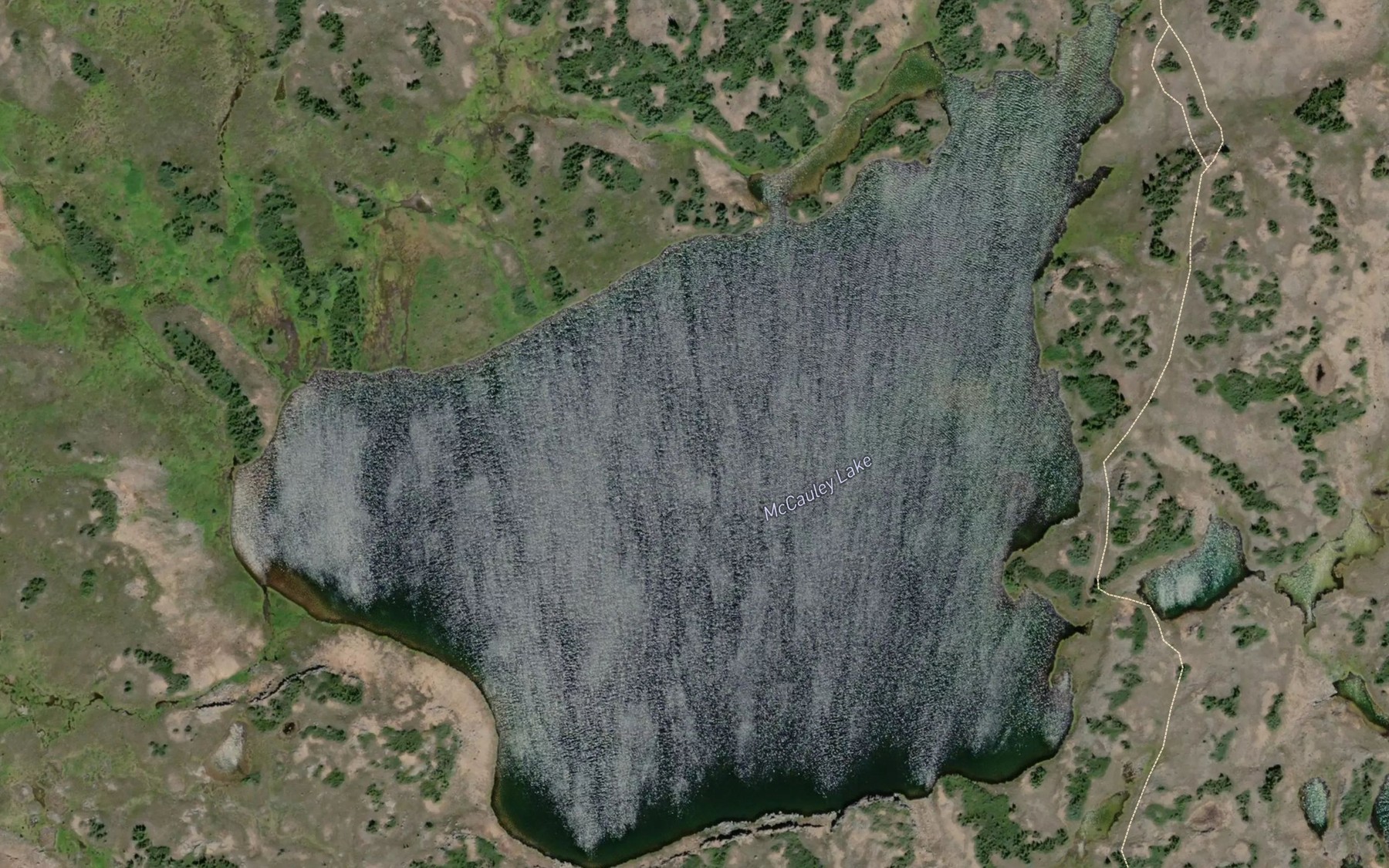 Satellite map of the McCauley Lake
