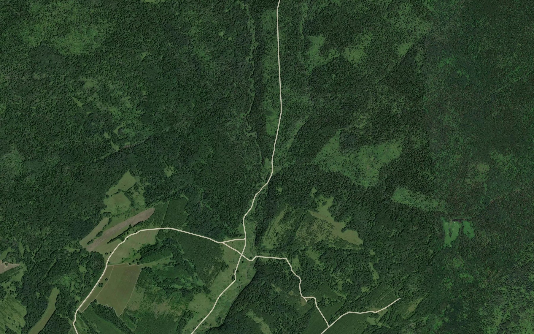 Satellite map of the Bol'shaya Gorevaya