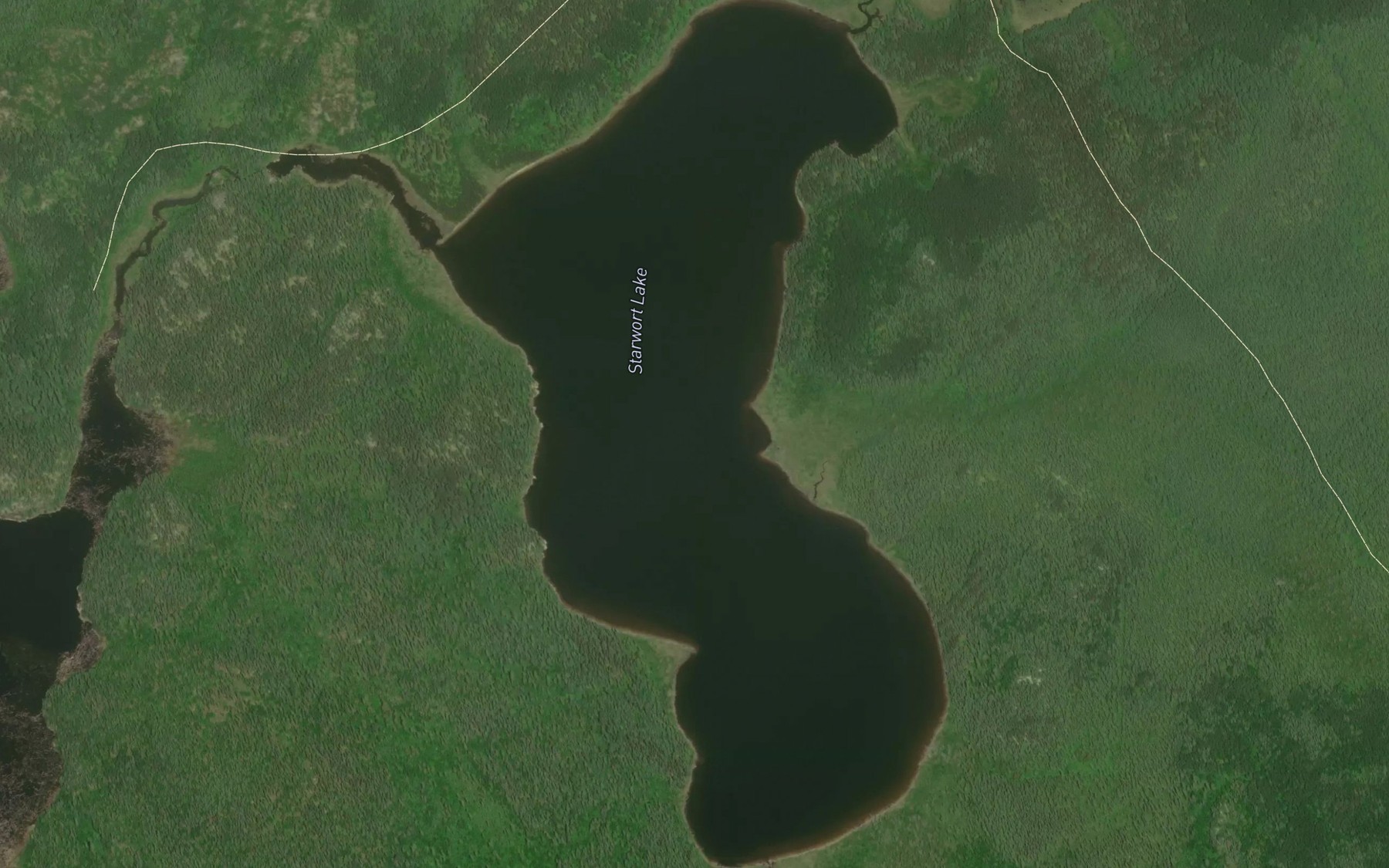 Satellite map of the Starwort Lake