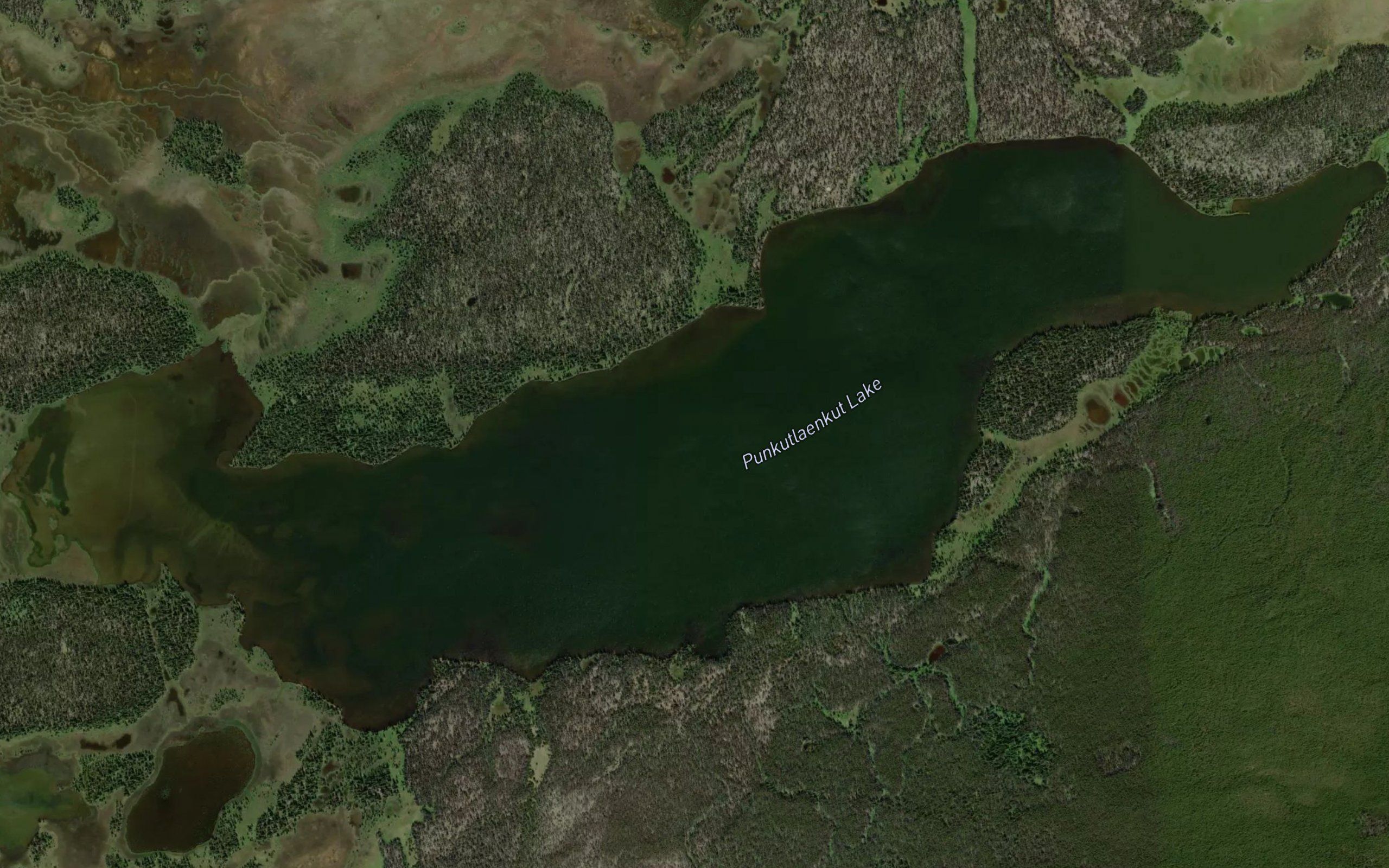 Punkutlaenkut Lake