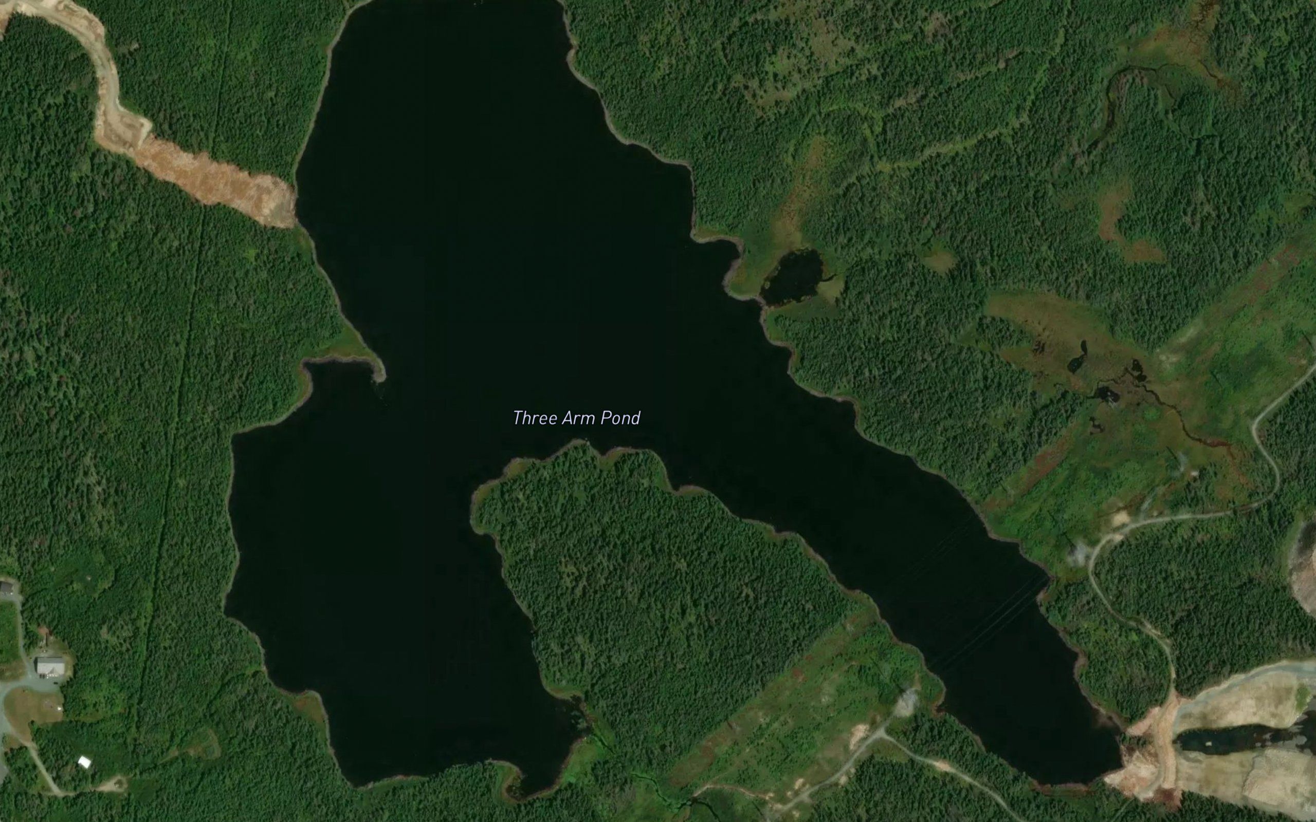Three Arm Pond