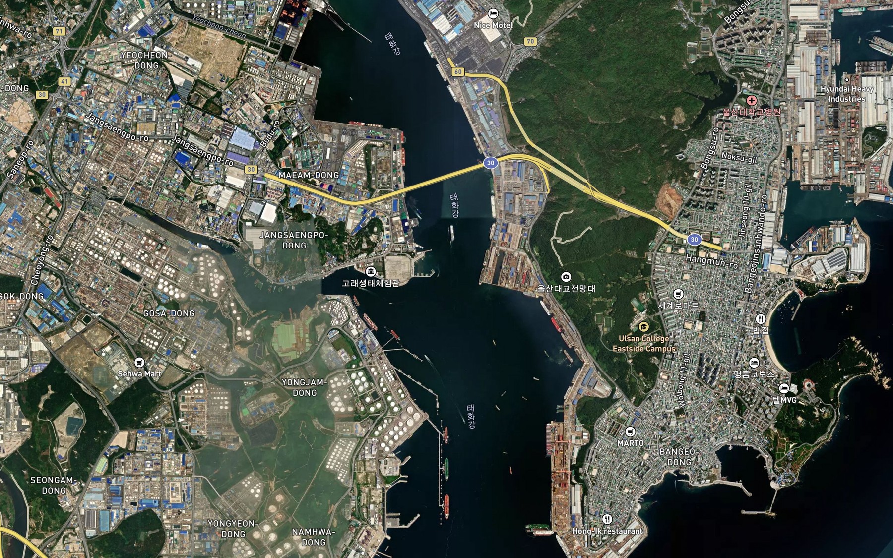 Satellite map of the Taehwagang