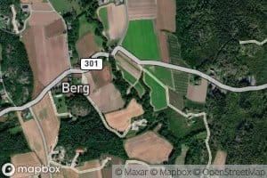 Bergselva