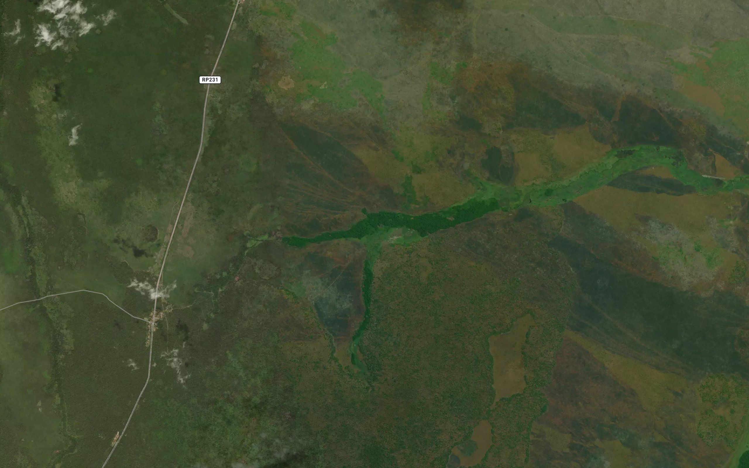 Makungu