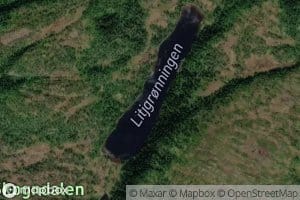 Litlgronningen