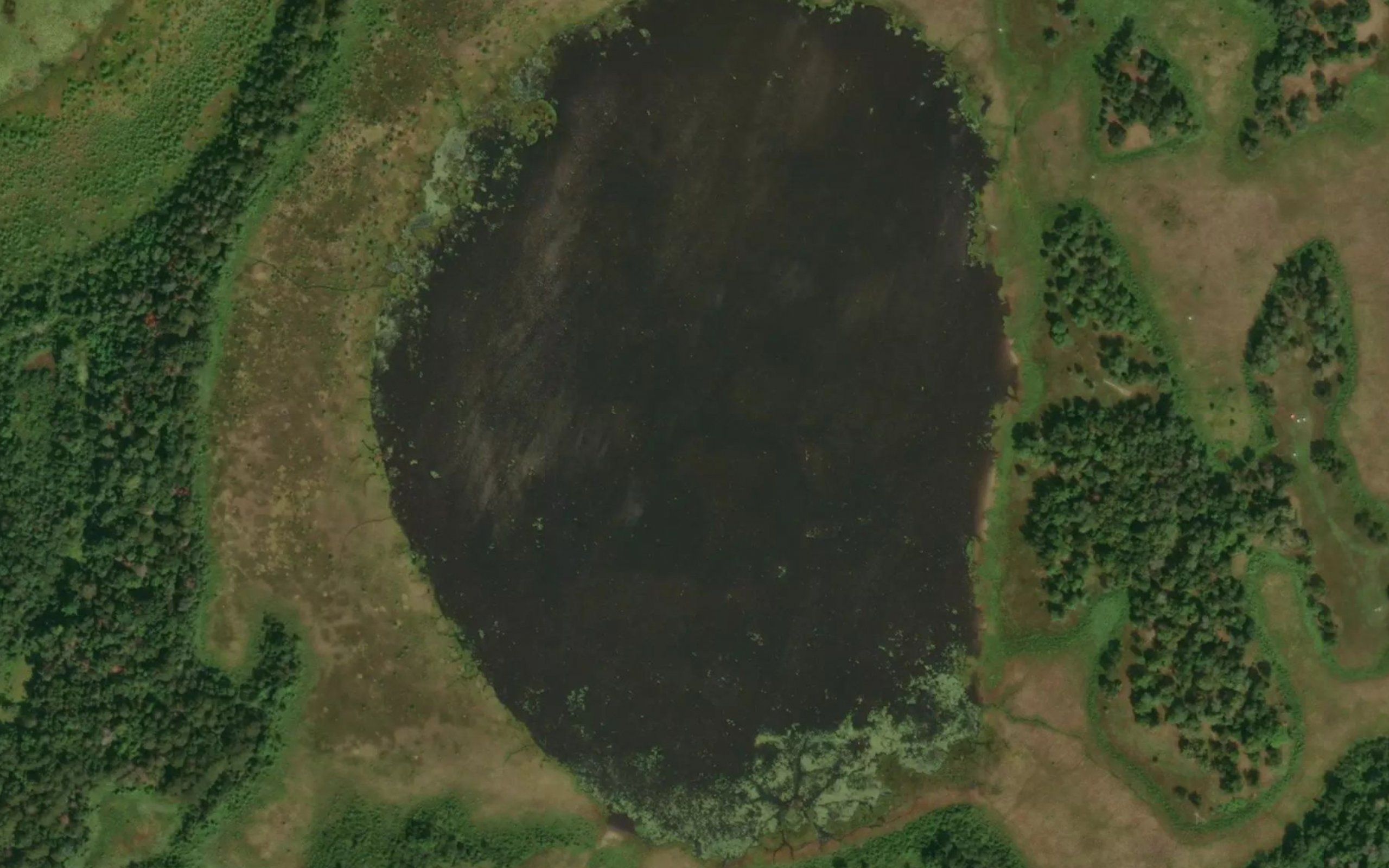 Little Rice Lake