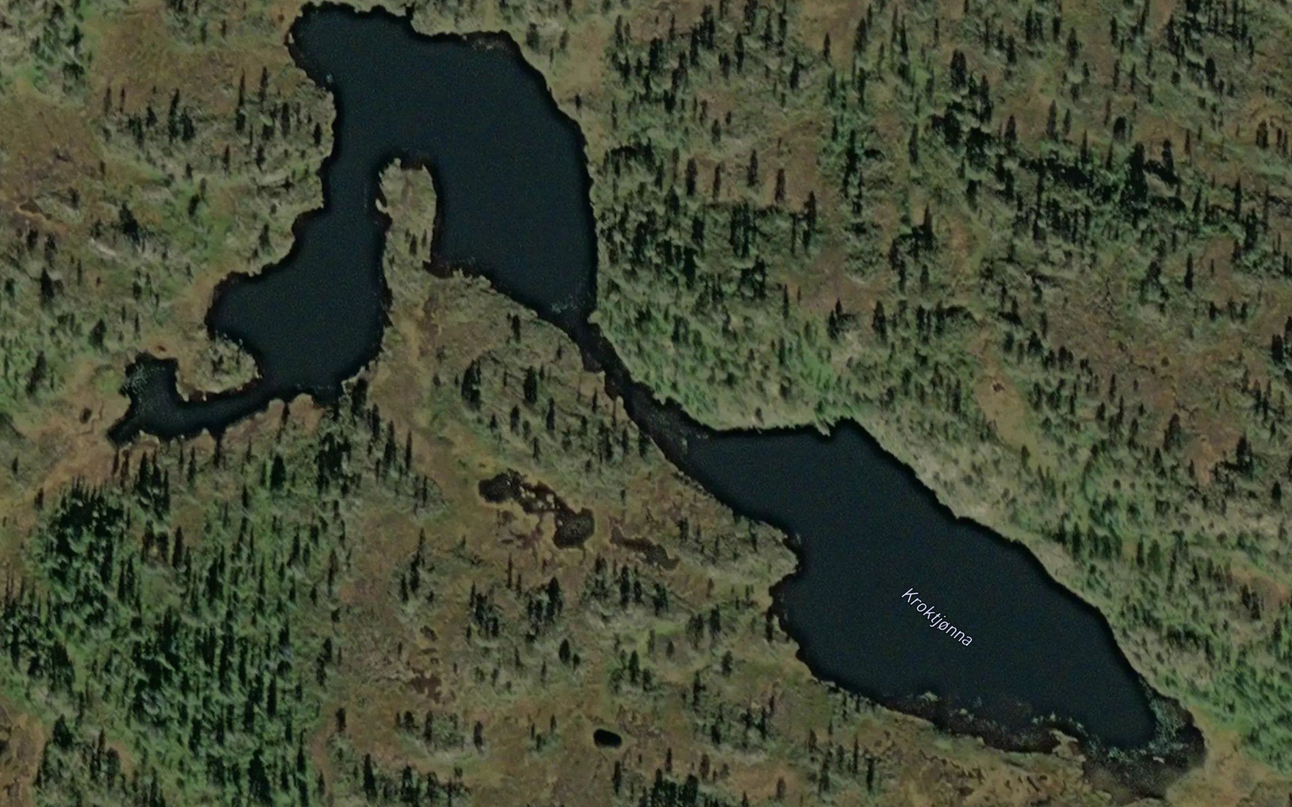 Kroktjorna