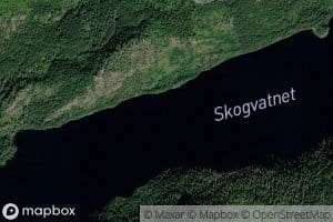 Skogvatnet
