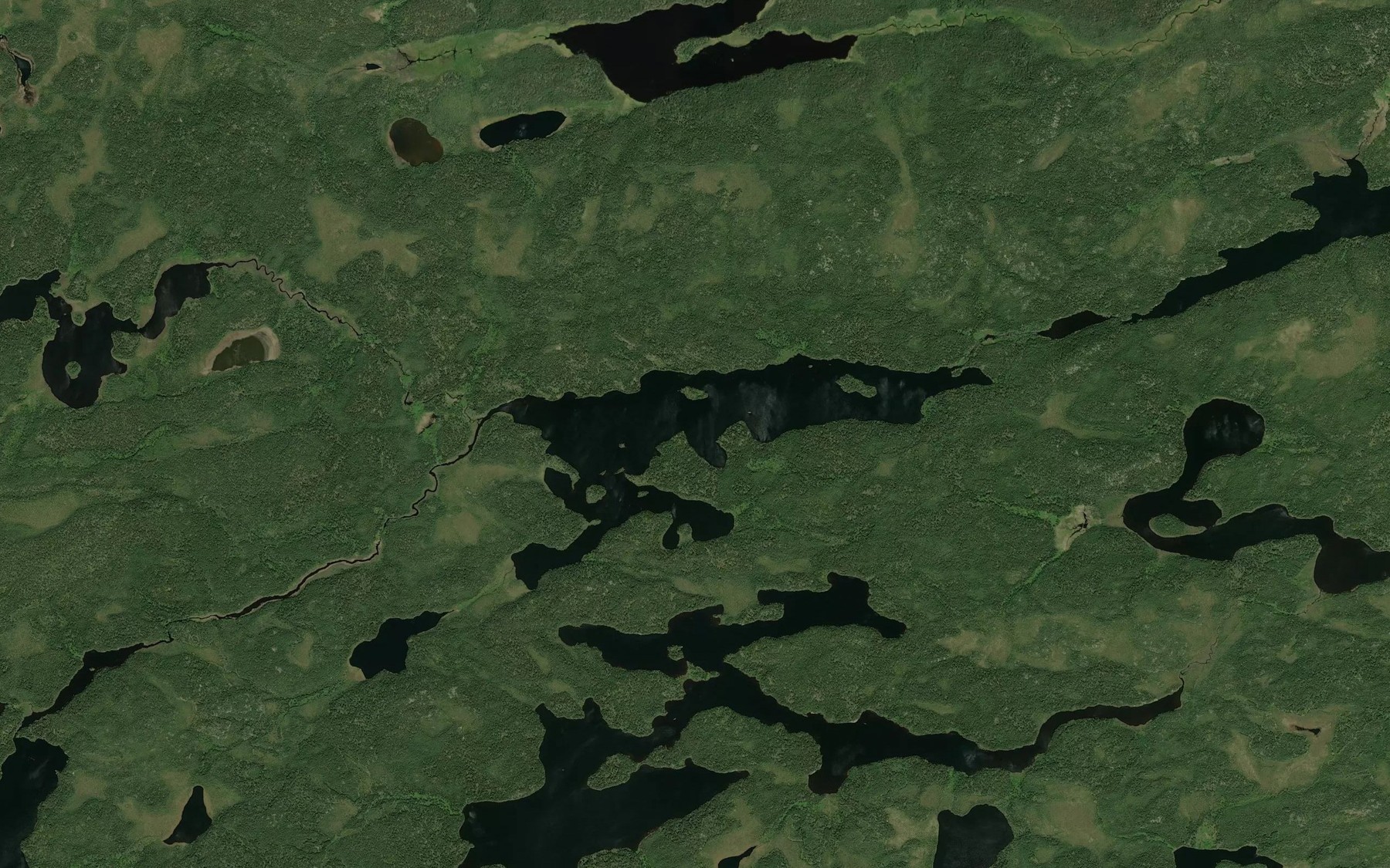 Satellite map of the Delbridge Lake