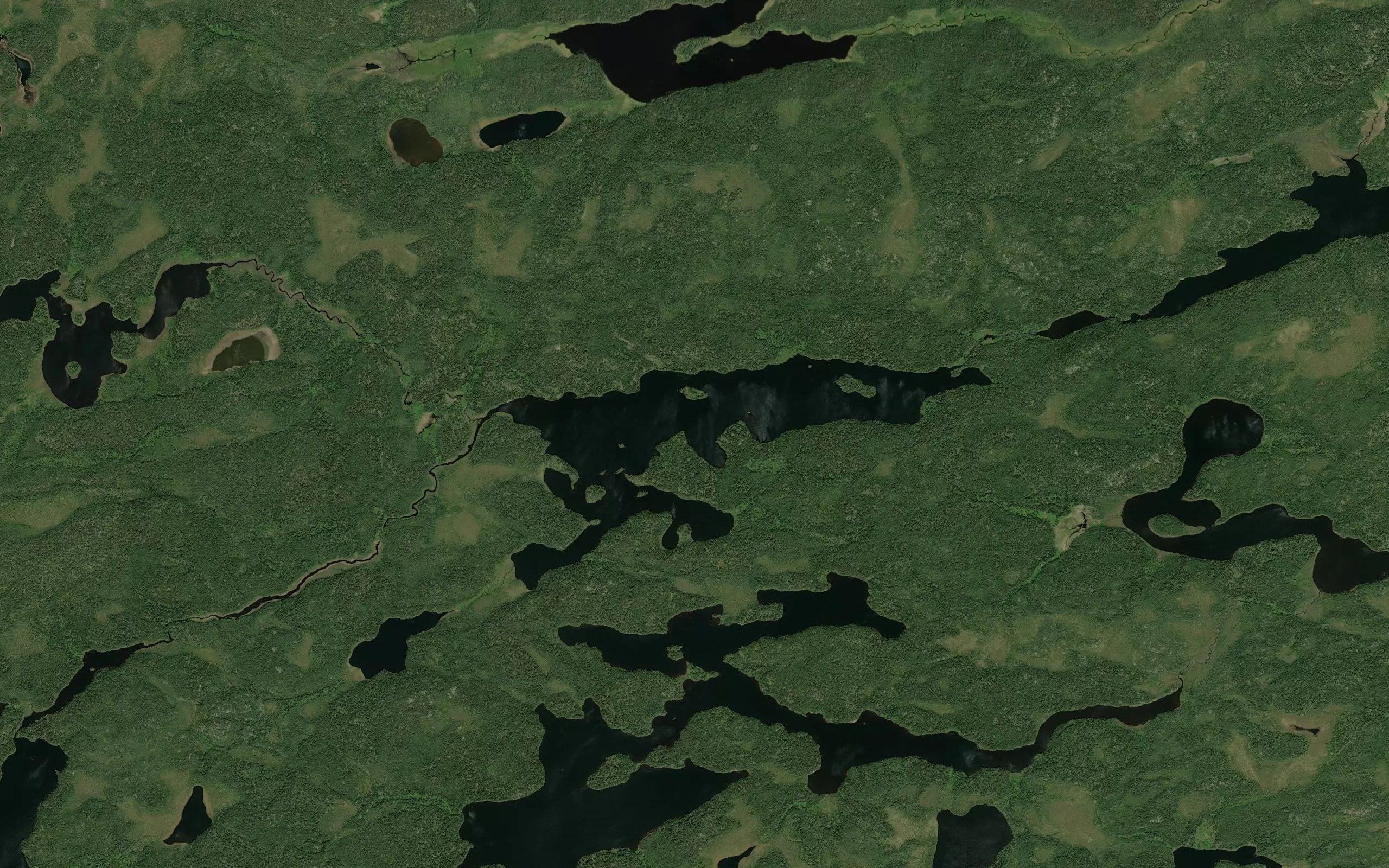 Delbridge Lake