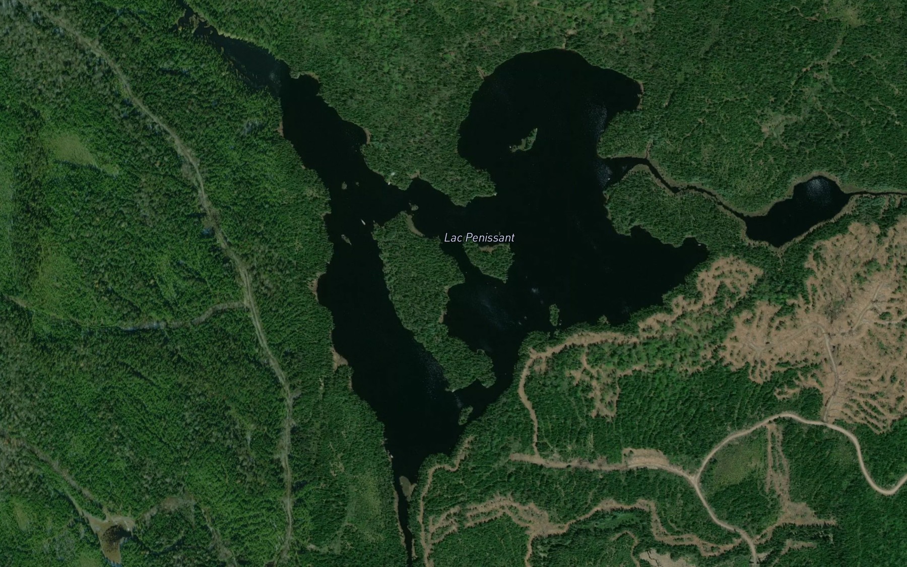 Satellite map of the Lac Penissant
