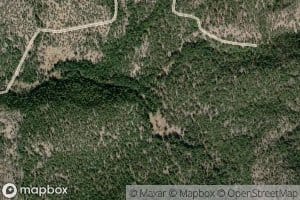 Mineral Creek