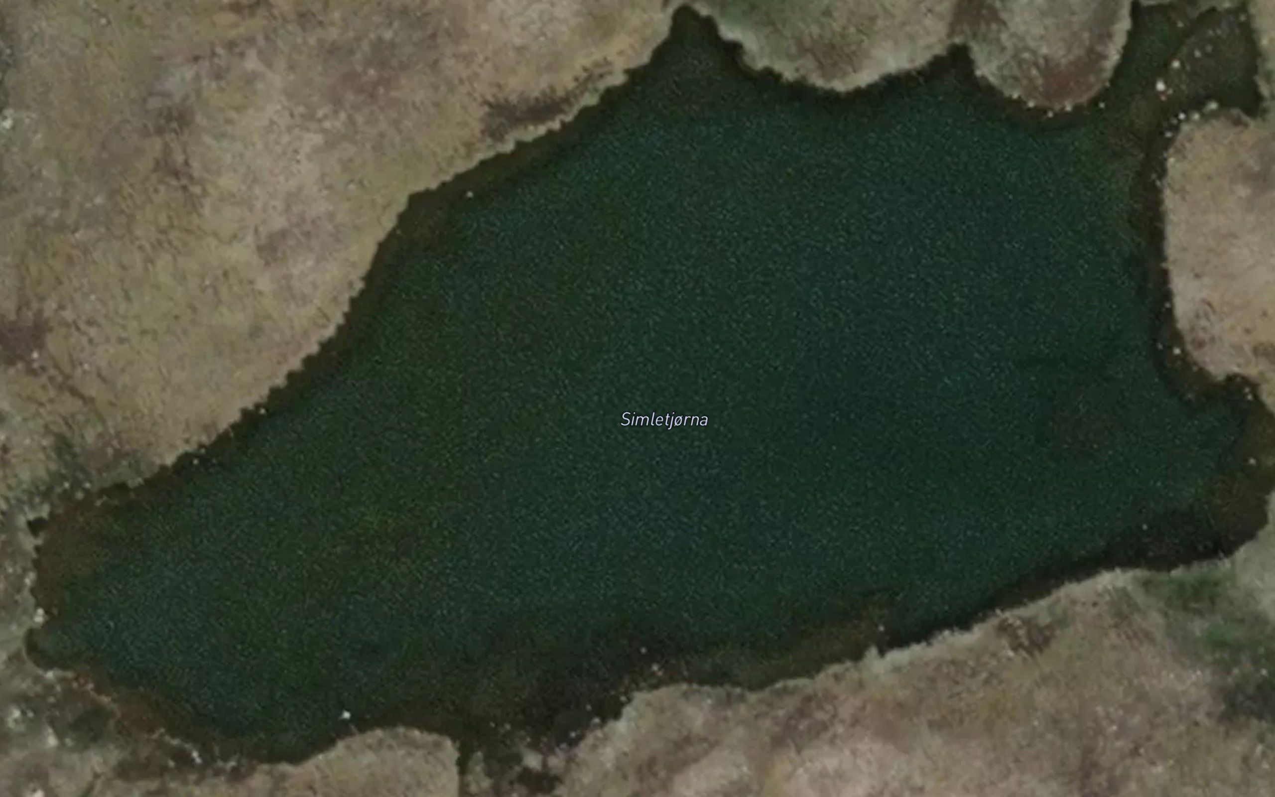 Simletjorni