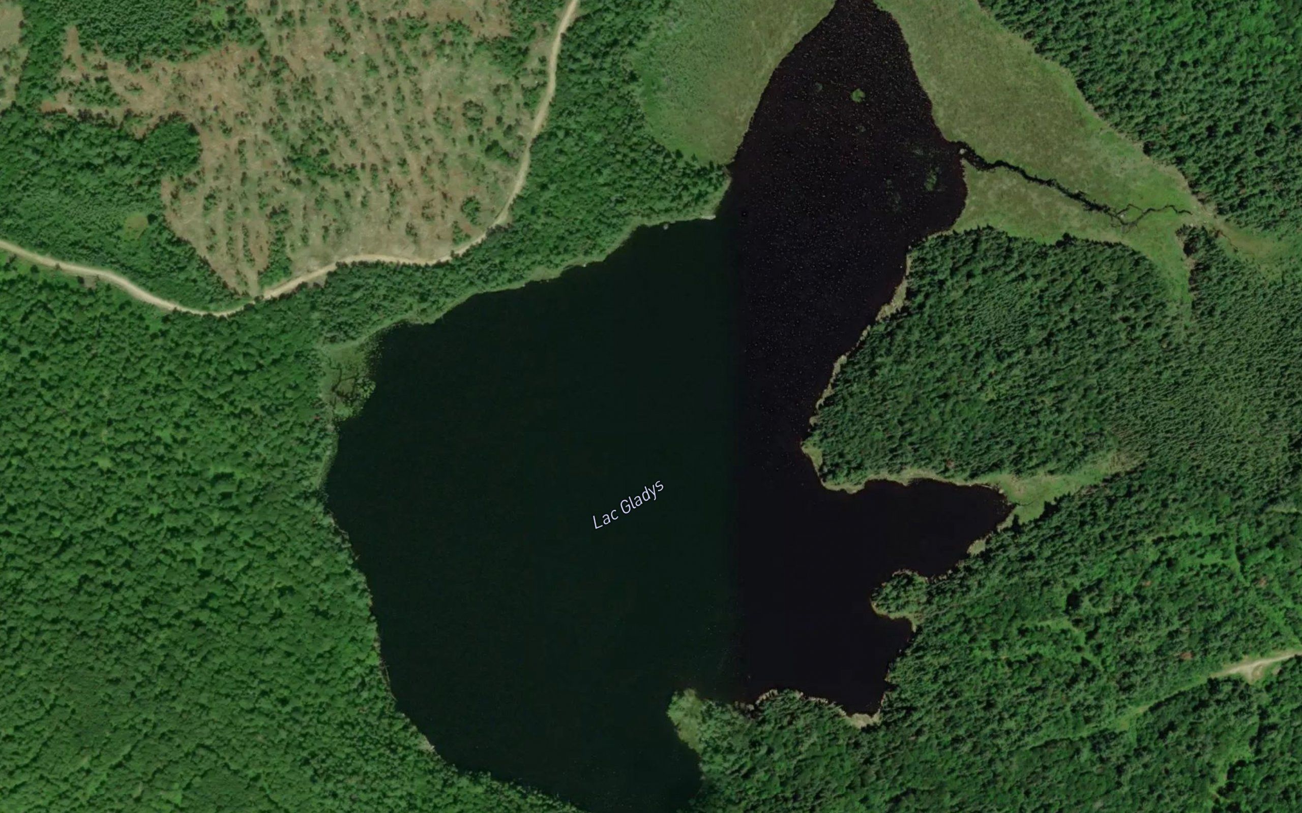 Lac Gladys