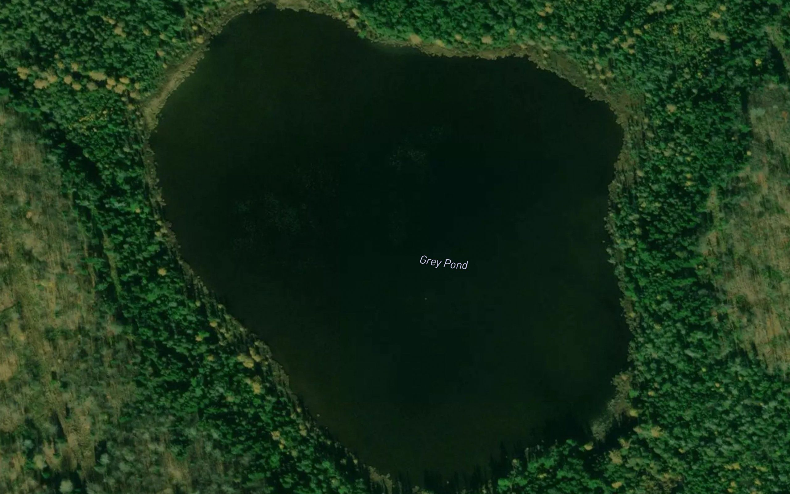 Grey Pond