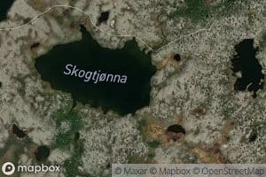 Skogtjonna
