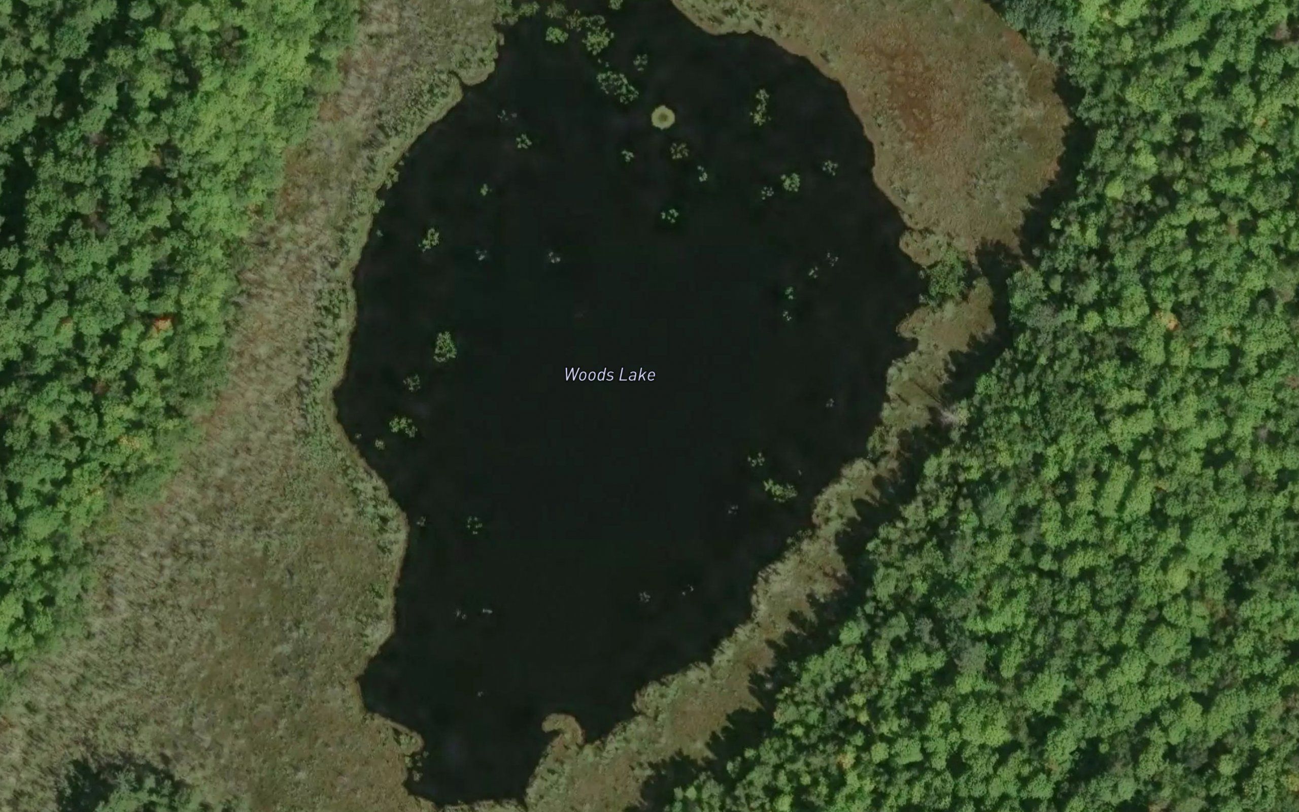 Woods Lake