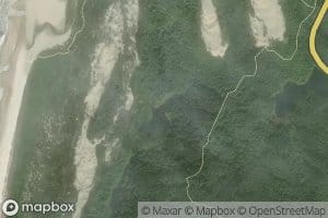 Butterfly Lake