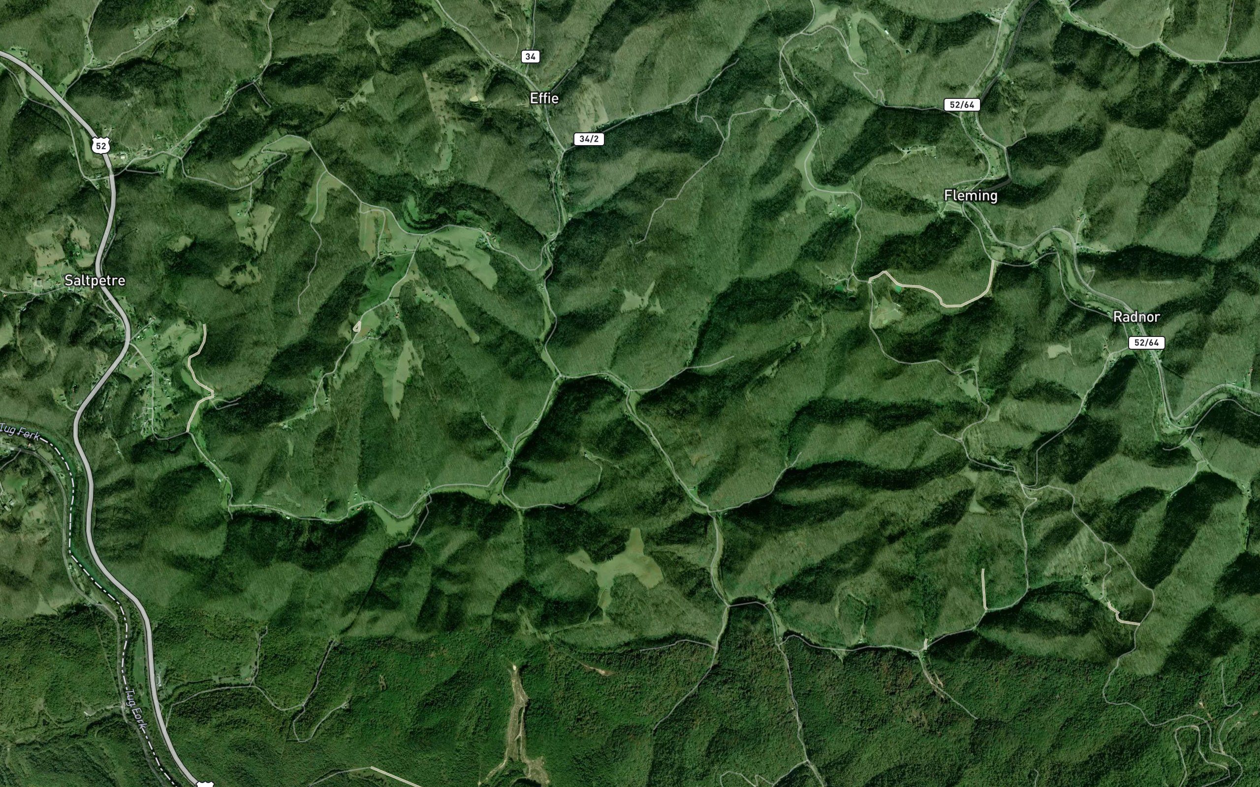 Pratt Branch