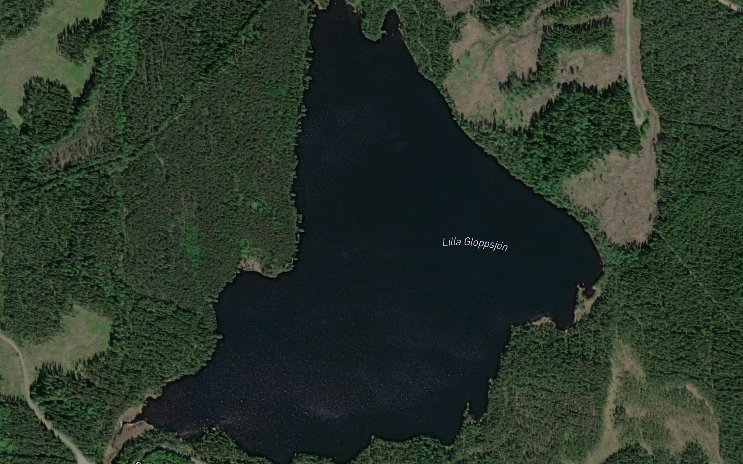 Lilla Gloppsjoen
