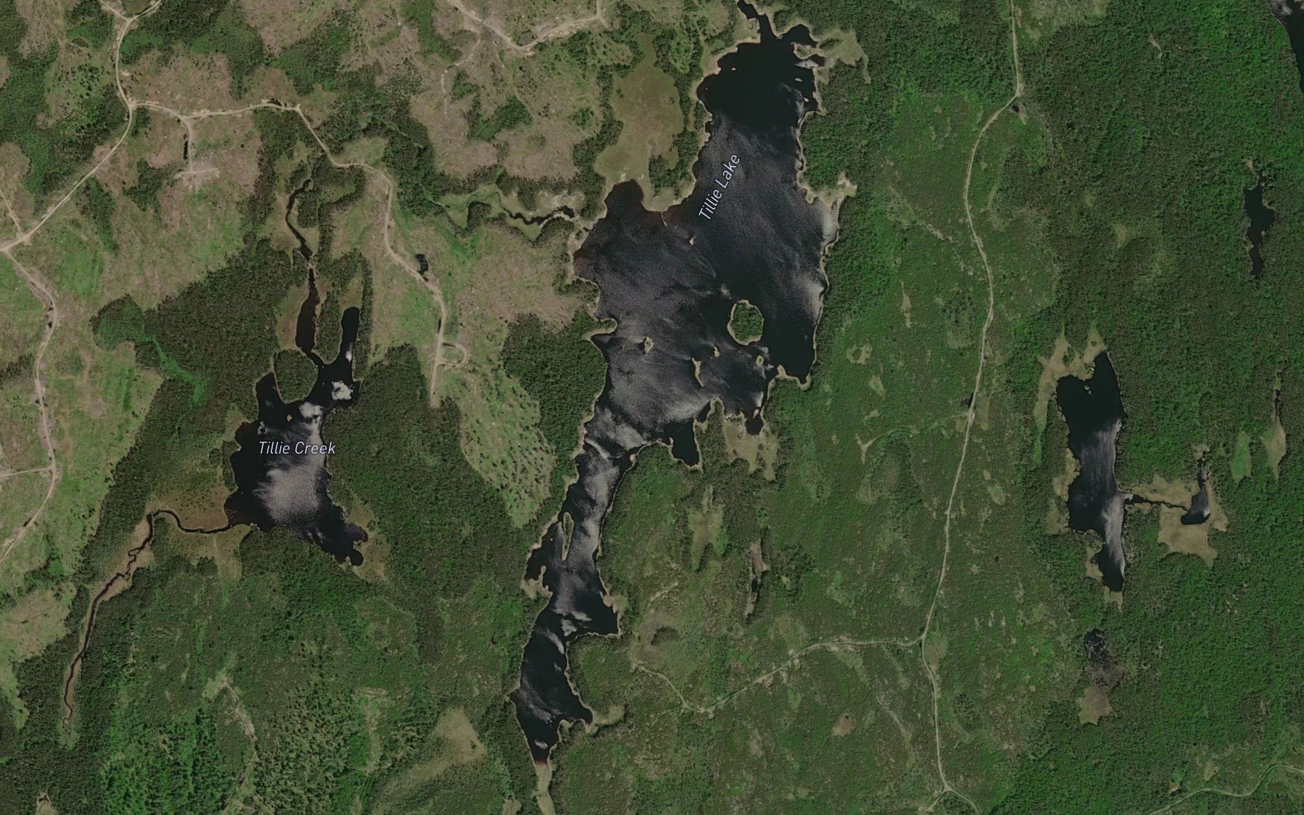 Tillie Lake
