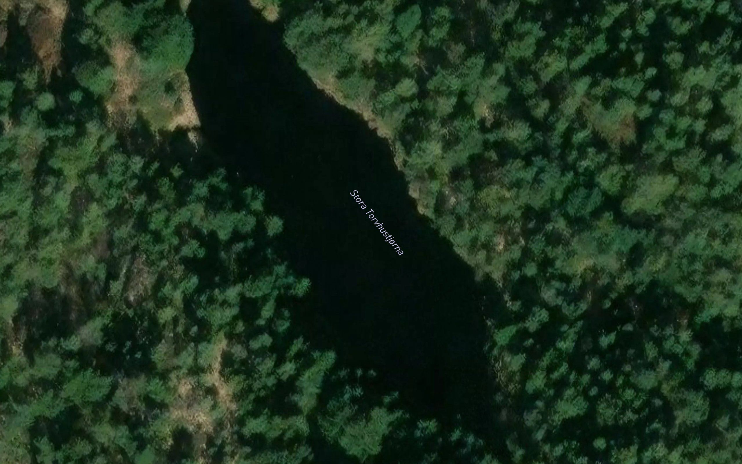 Stora Torvhustjorna