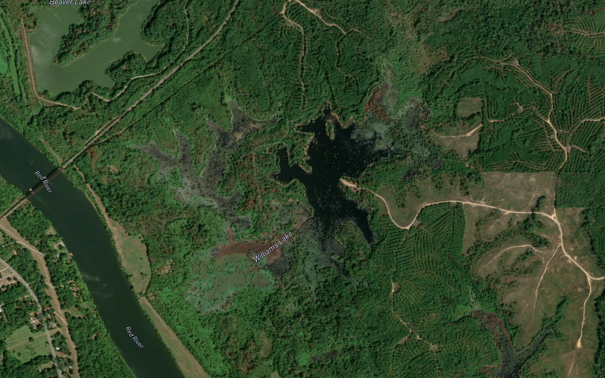 Williams Lake