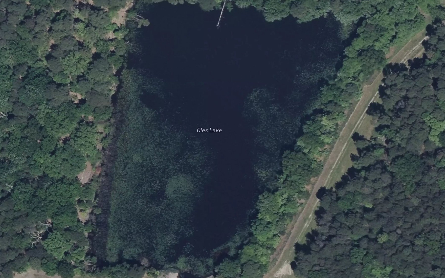 Satellite map of the Oles Lake