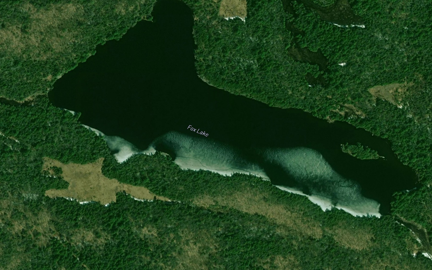 Satellite map of the Fox Lake