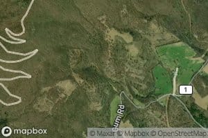 Arlie Righter Spring