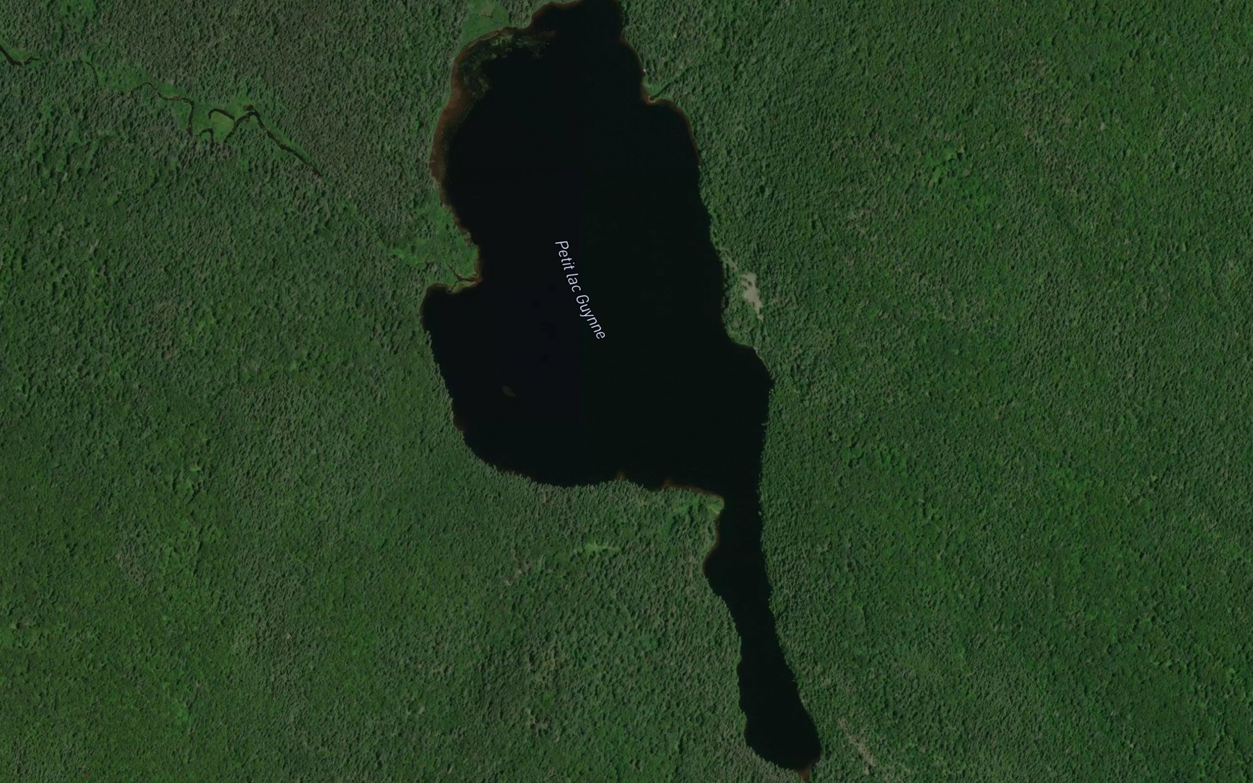 Satellite map of the Petit lac Guynne