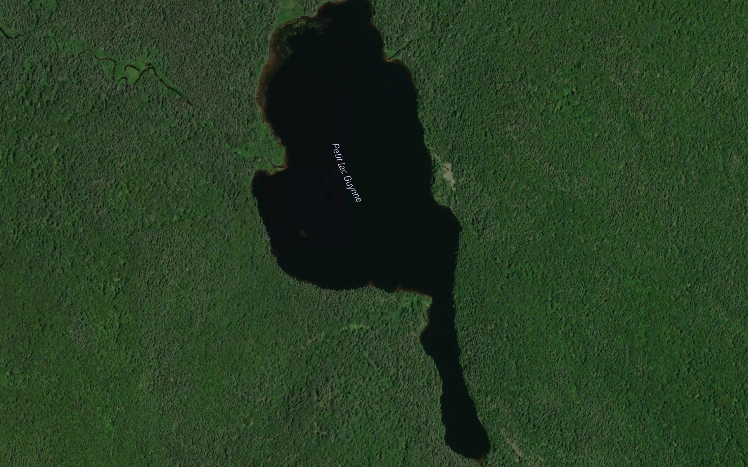 Petit lac Guynne