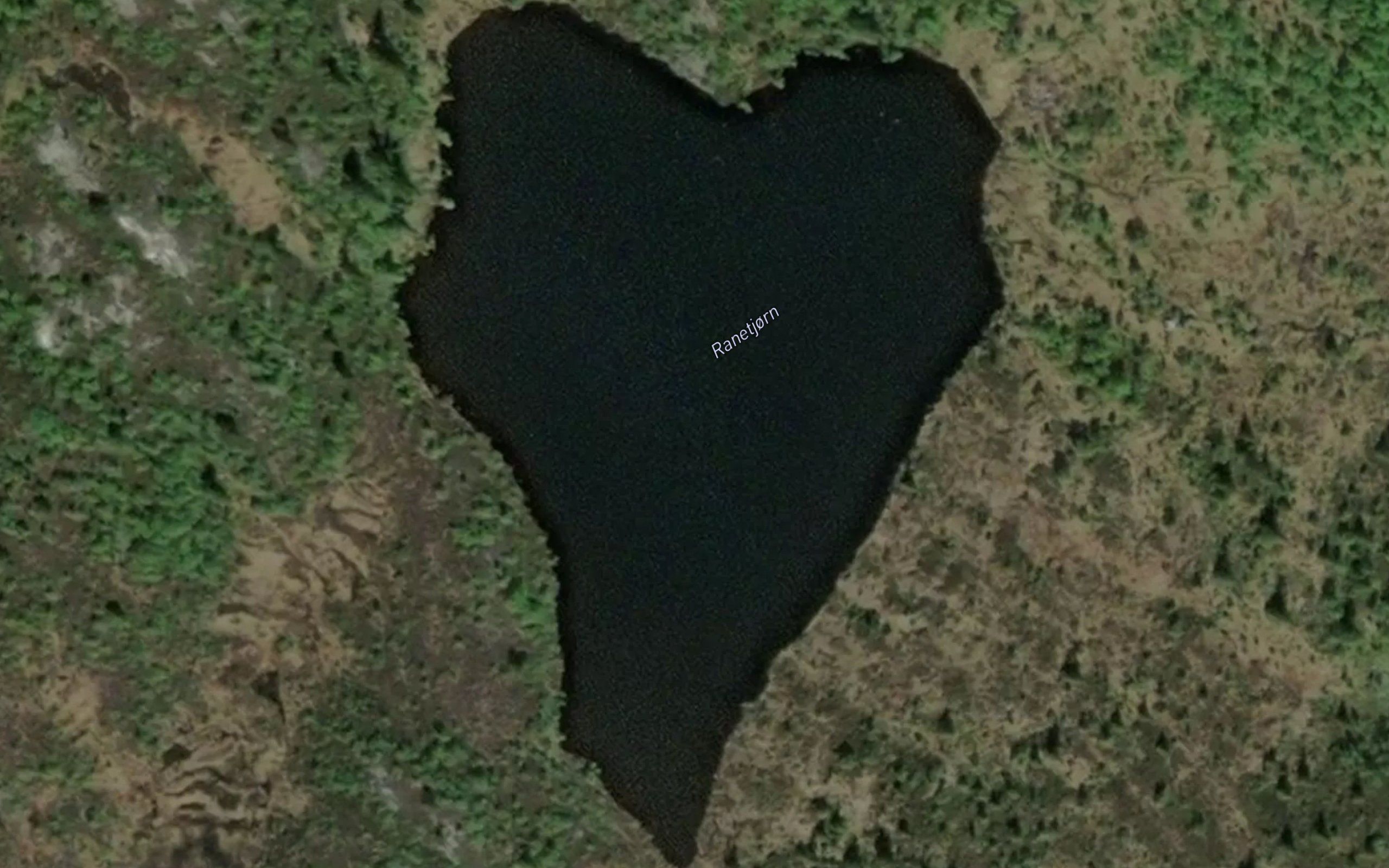 Ranetjorn