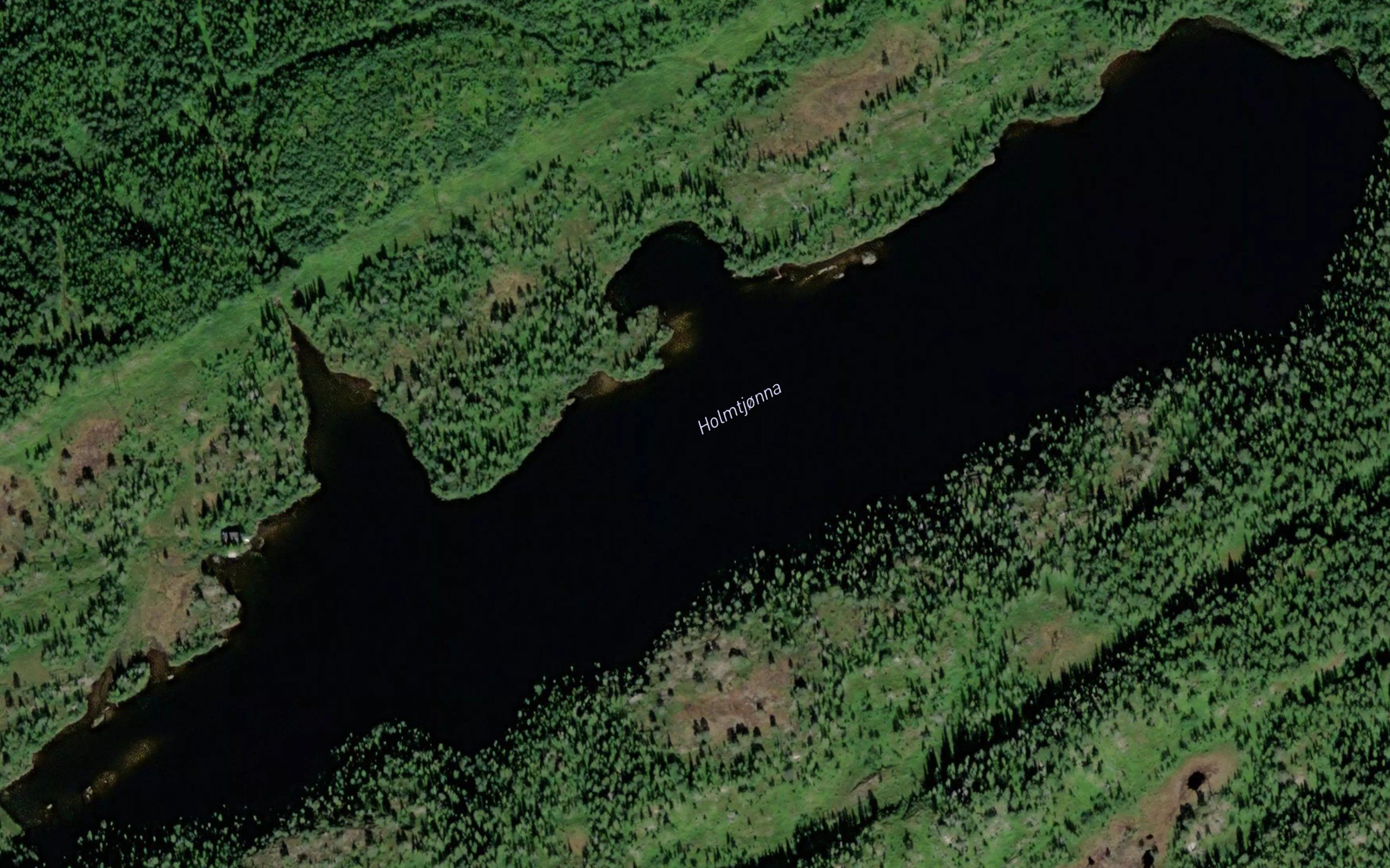 Holmtjorna