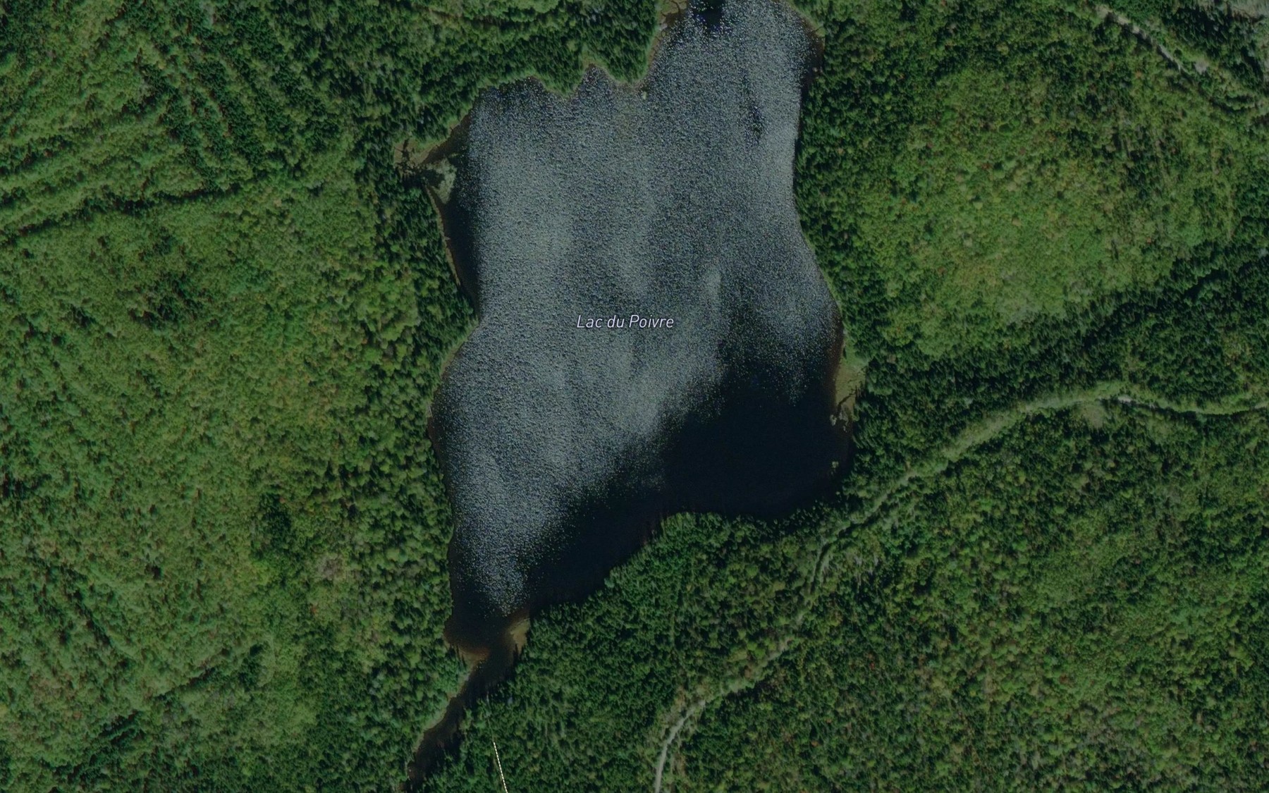 Satellite map of the Lac du Poivre