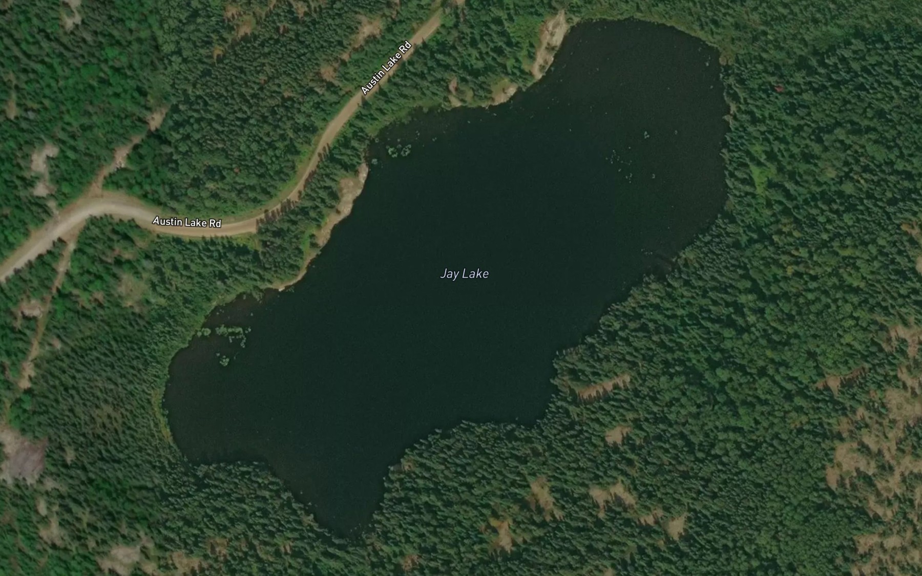 Satellite map of the Jay Lake