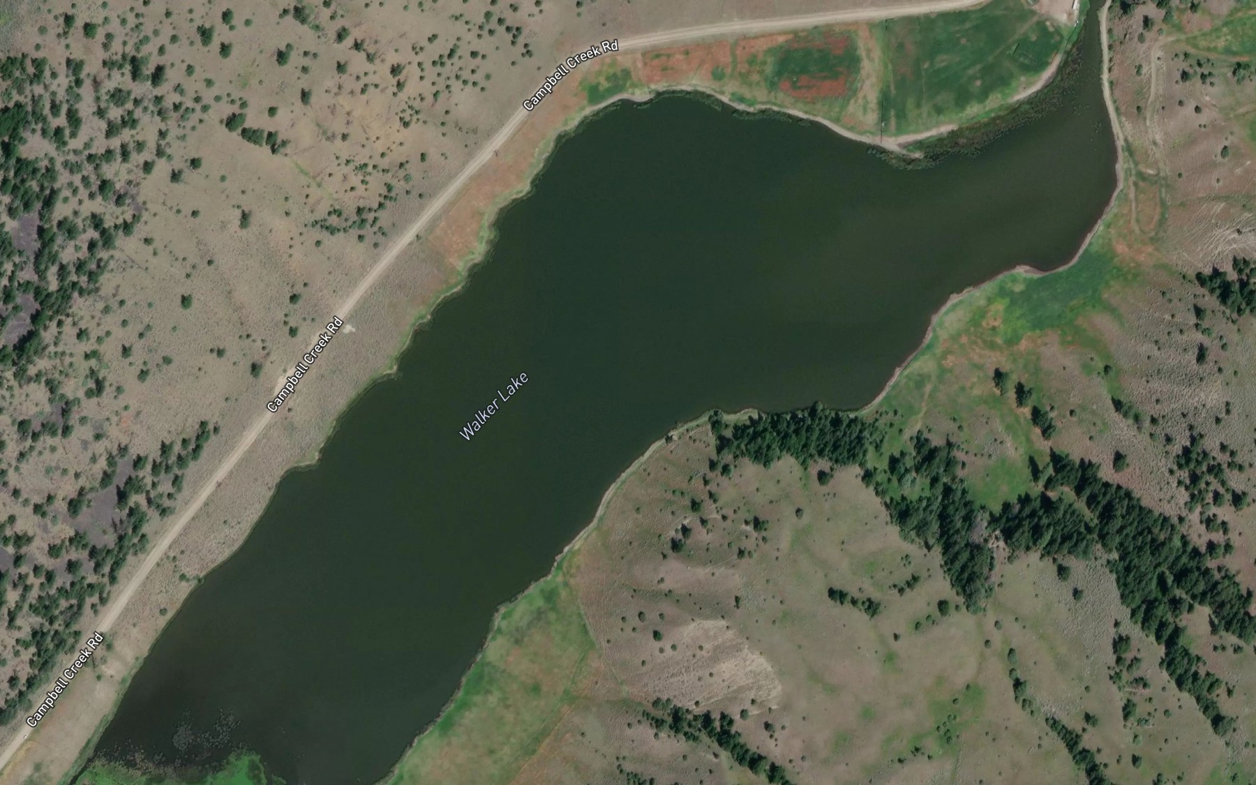 Satellite map of the Walker Lake