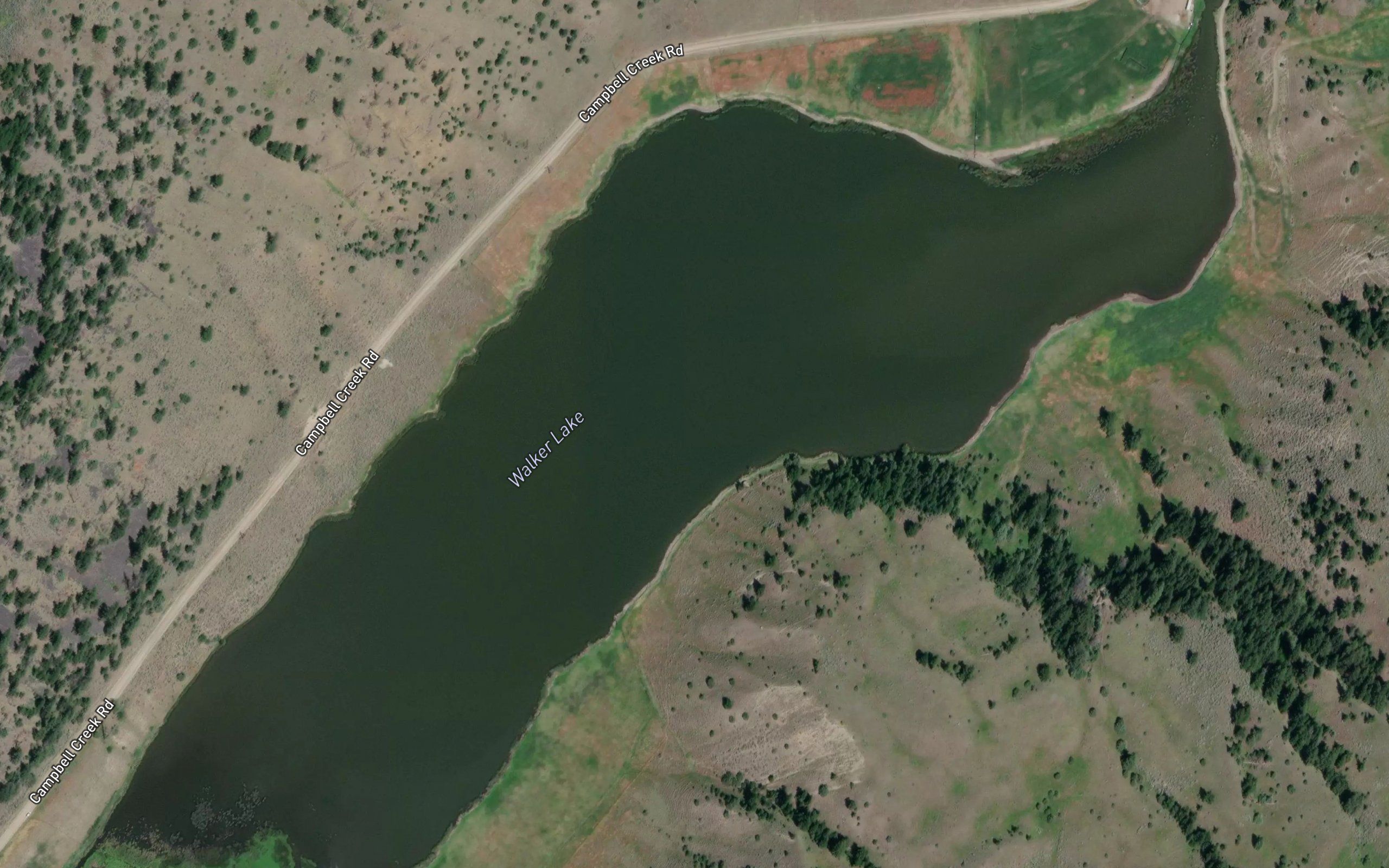 Walker Lake