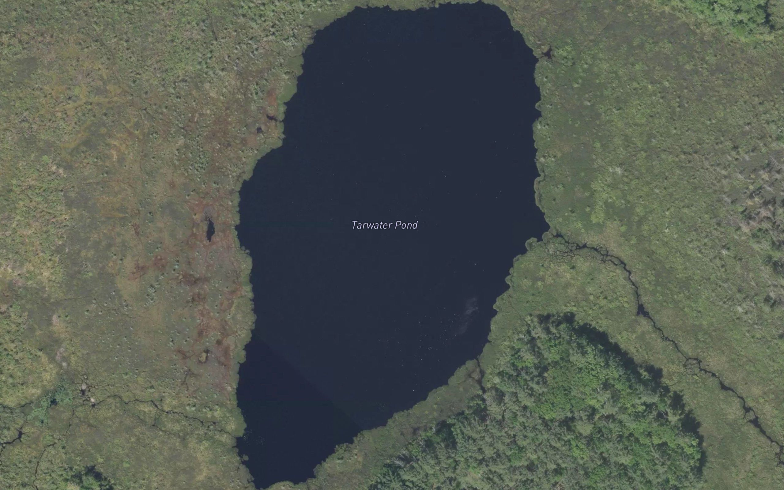 Tarwater Pond