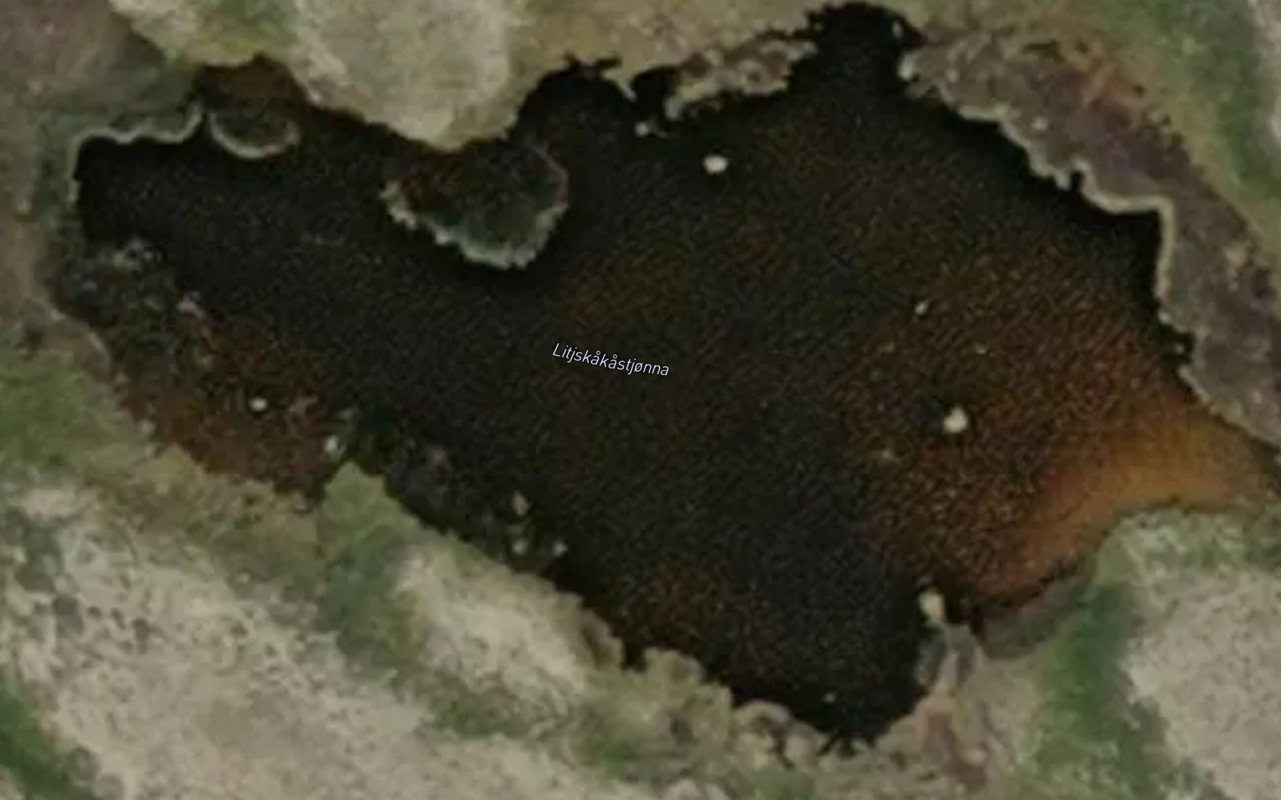 Litl-Skakastjorna